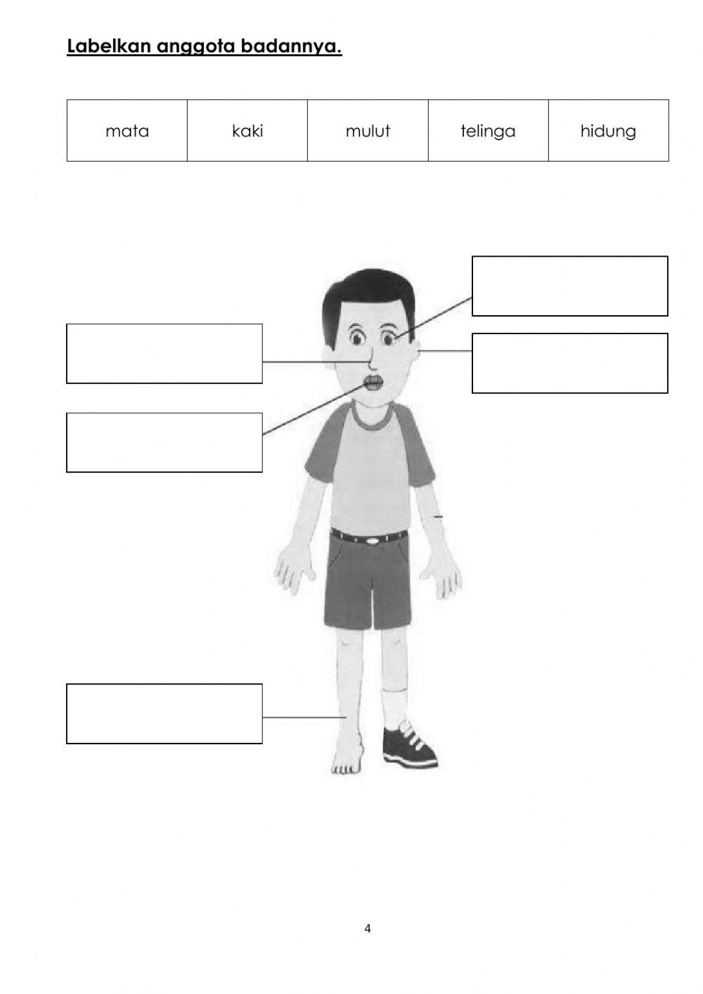 Latihan Sains tahun 1