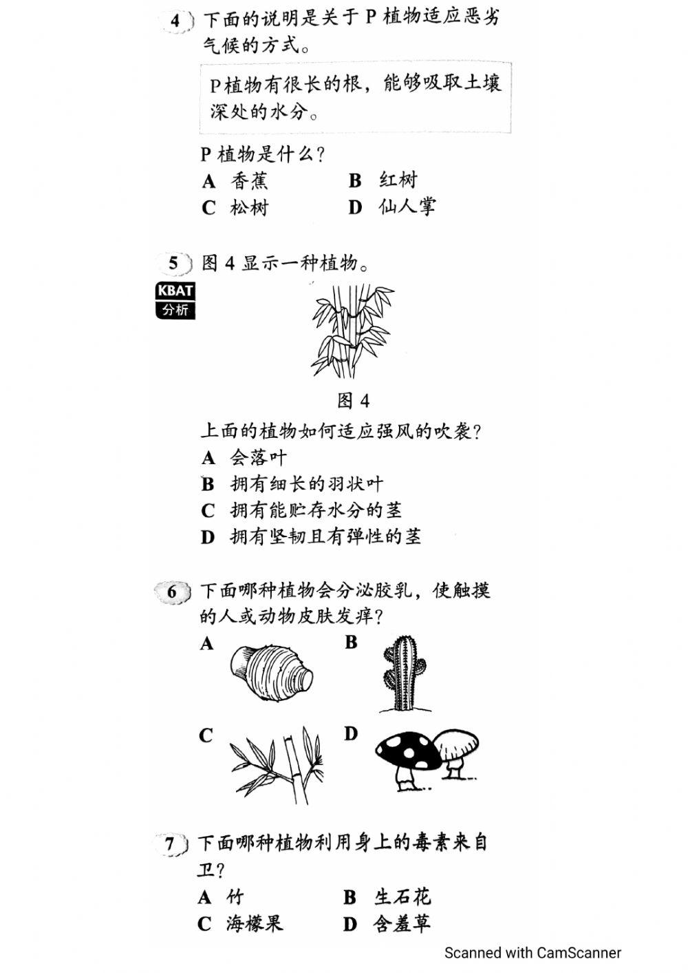 植物的生命过程 - 评估（1）
