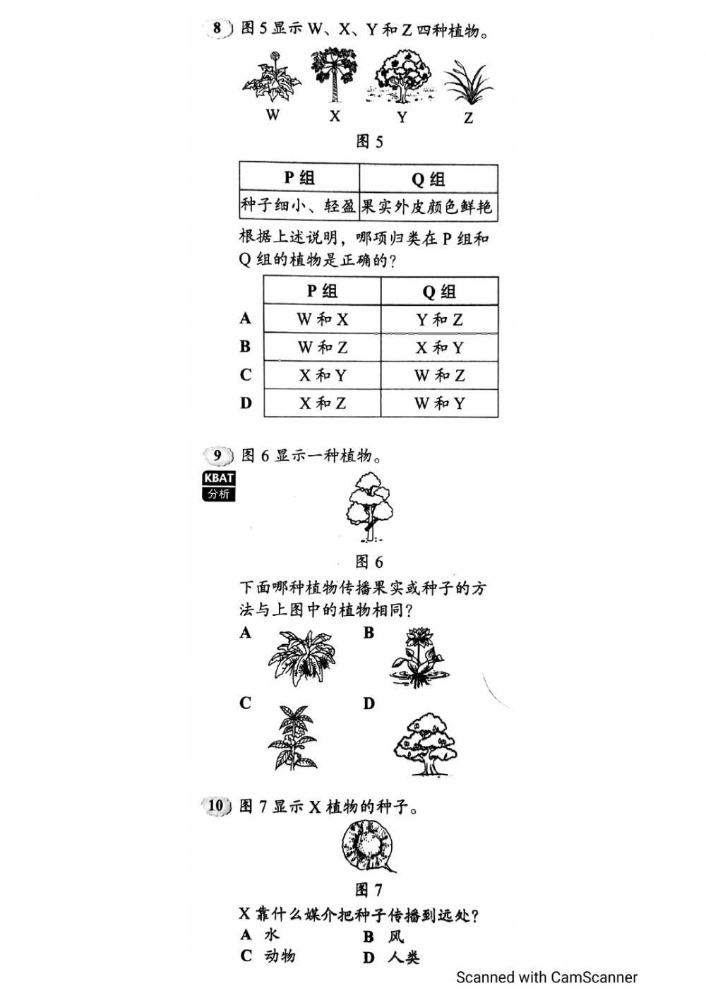植物的生命过程 - 评估（1）