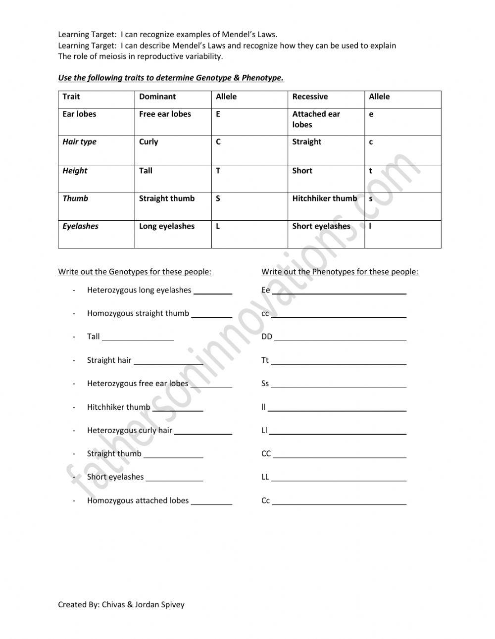 Genotypes & Phenotypes Video Notes with video