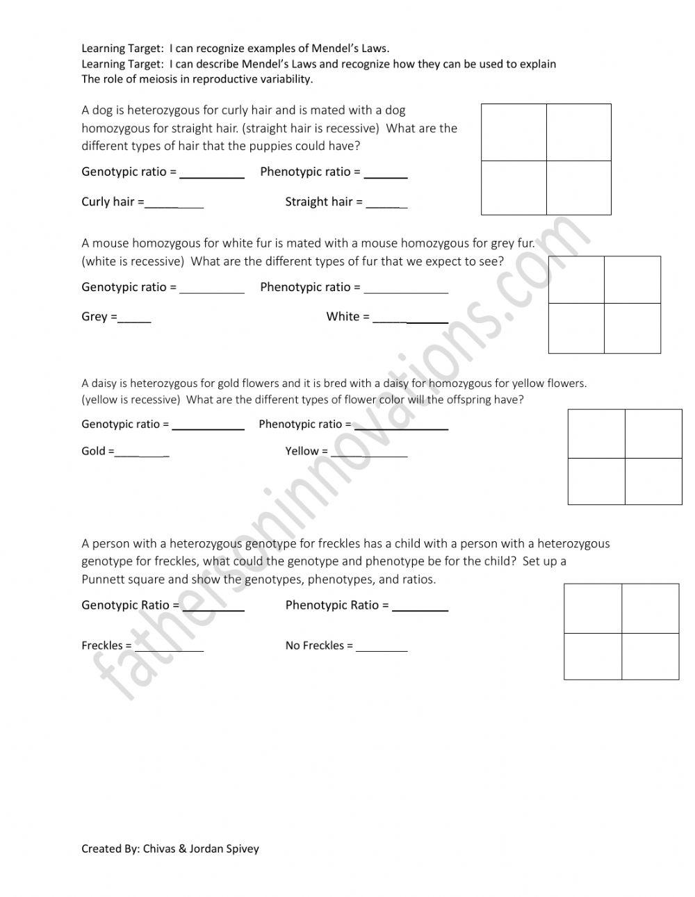 Genotypes & Phenotypes Video Notes with video