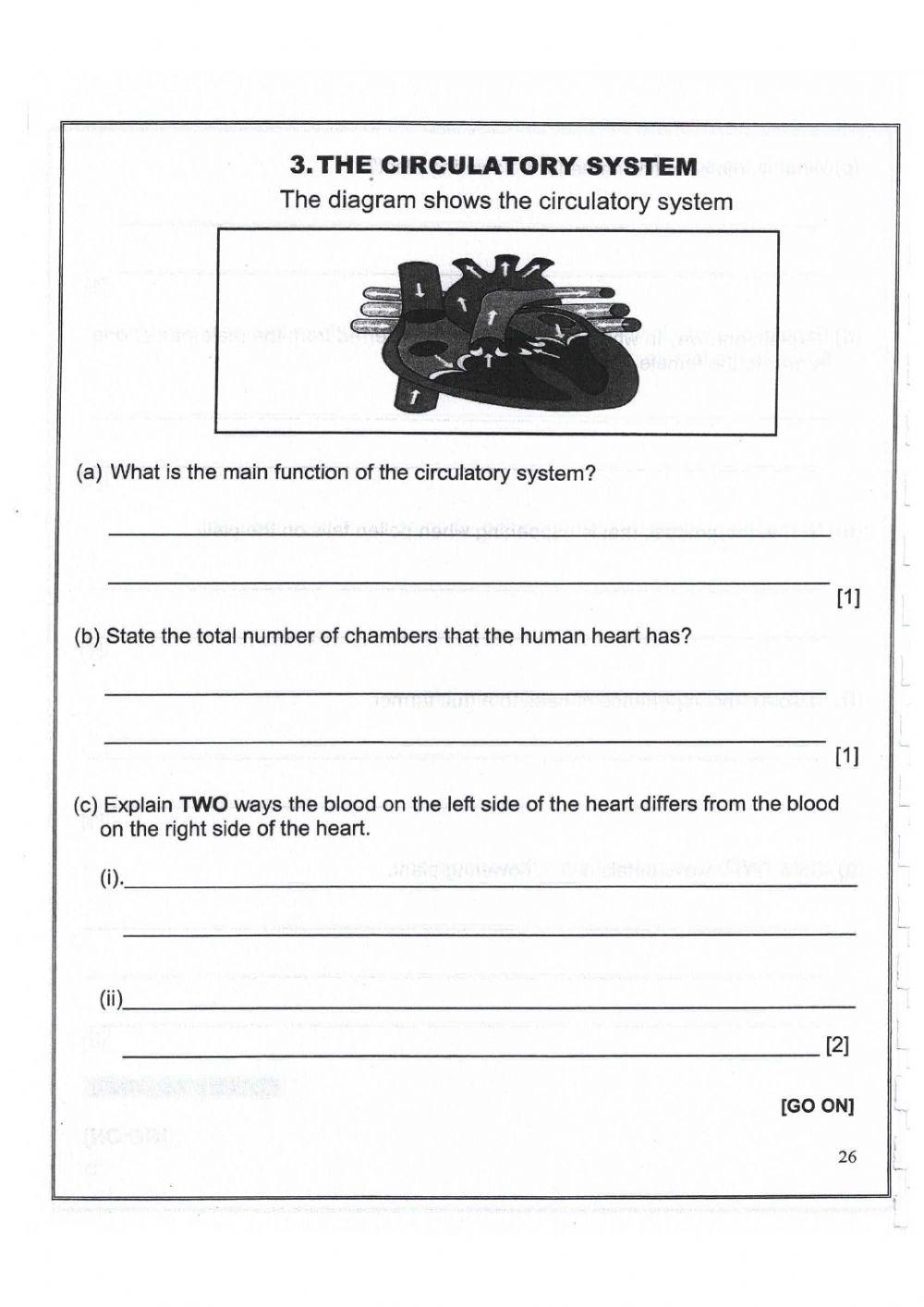 GLAT Circulatory System
