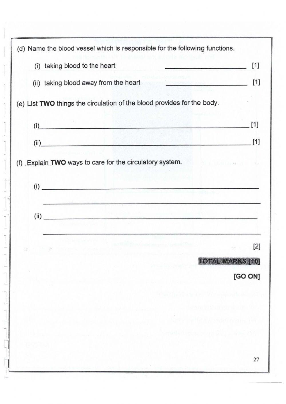GLAT Circulatory System