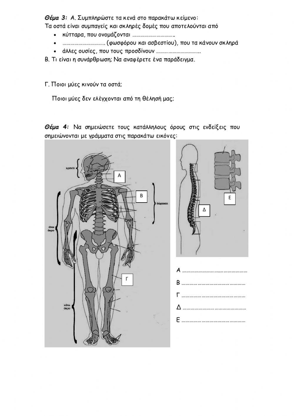 Στήριξη και κίνηση