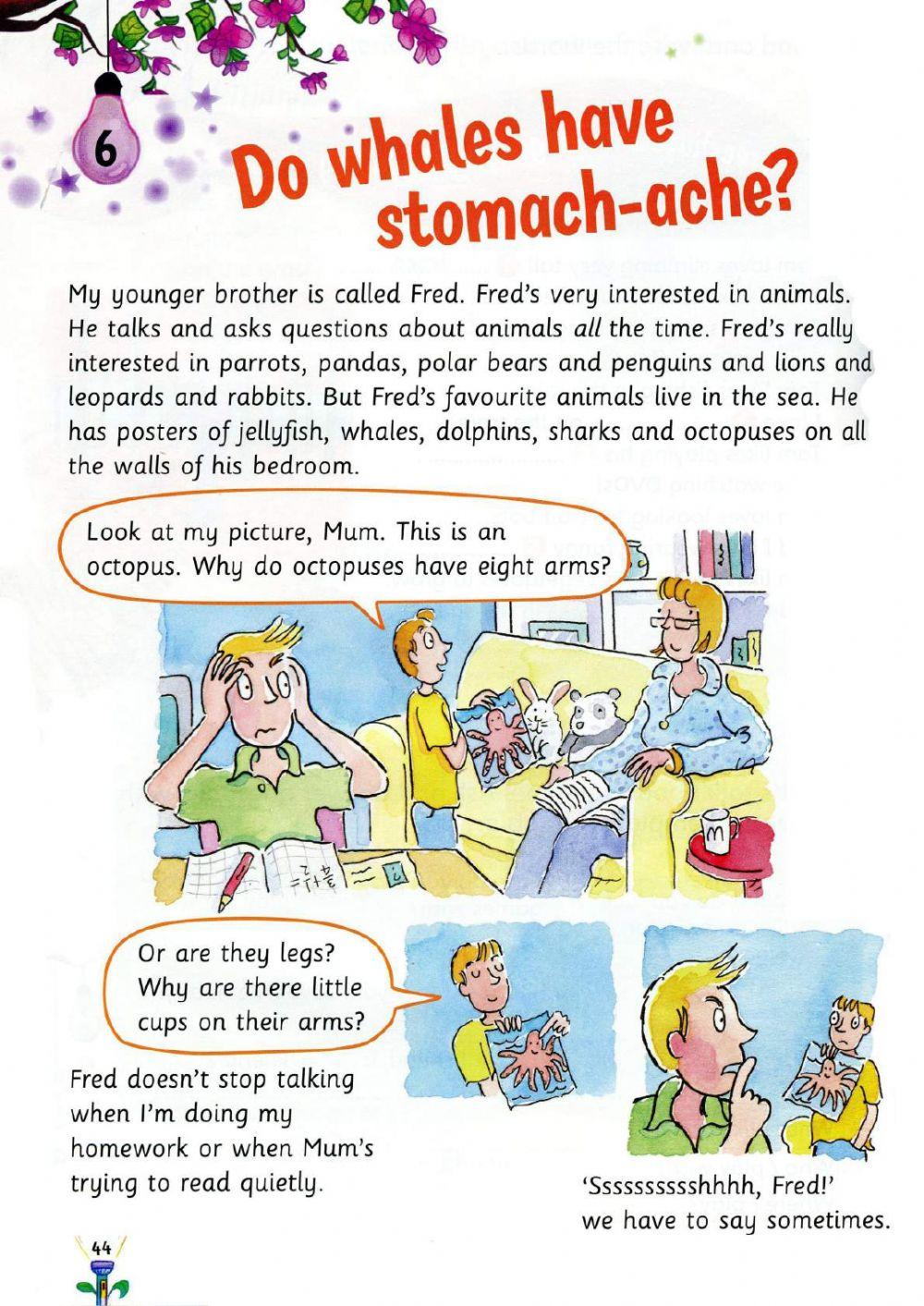 Do whales have stomach-ache?