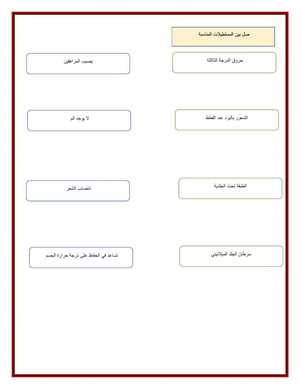 ورقة عمل الجهاز الغشائي