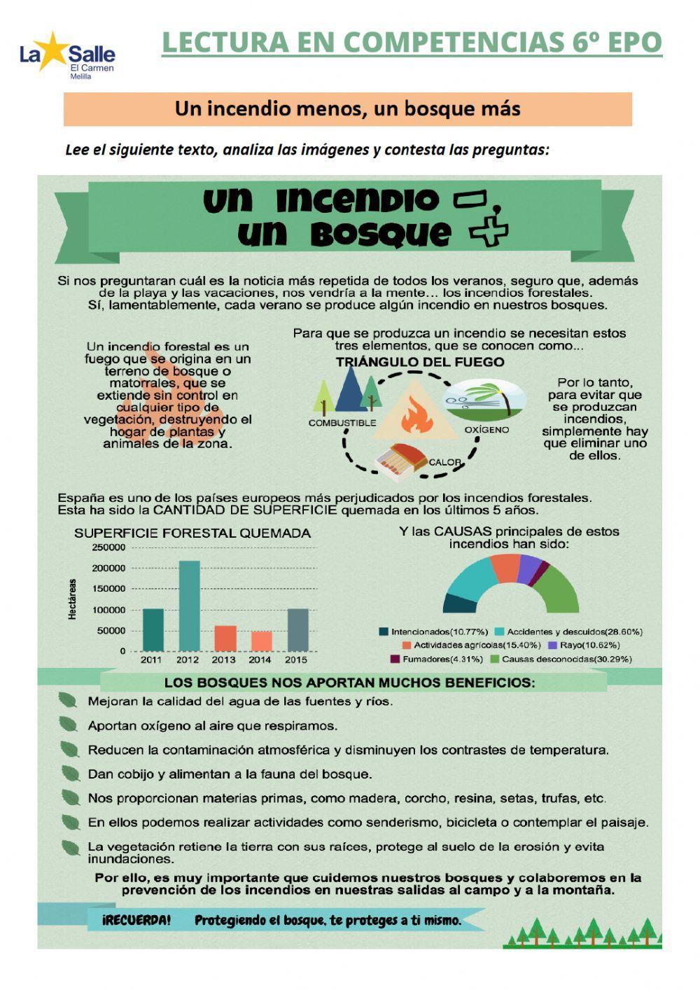 Lectura competencias 6º