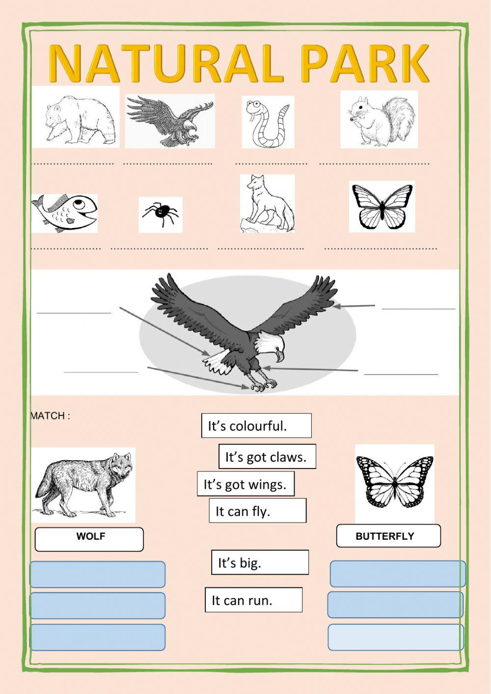 Natural park interactive worksheet | Live Worksheets