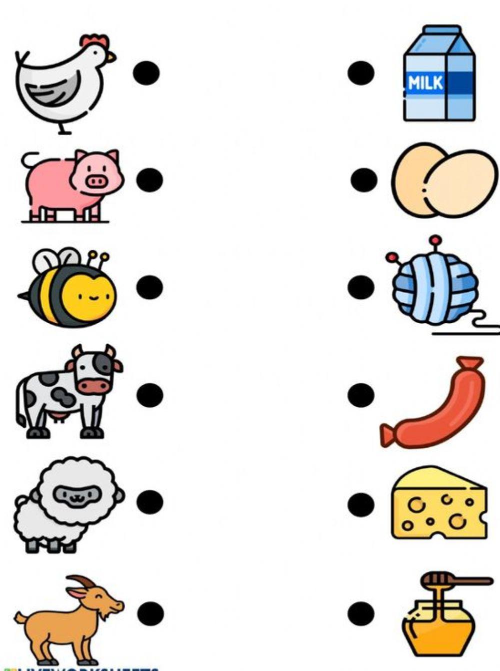 Produkty ze zwierząt