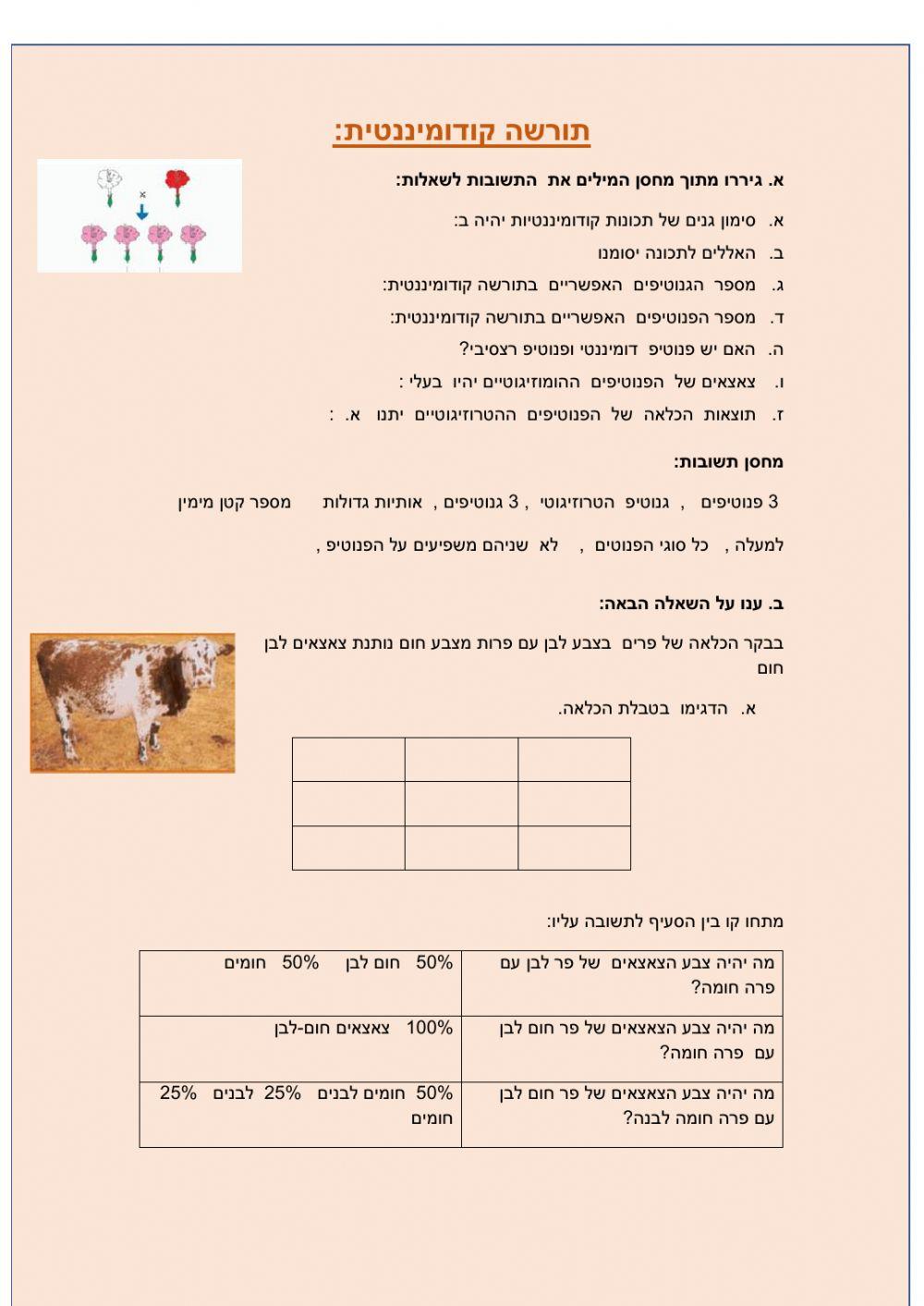 תורשה קודומיננטית