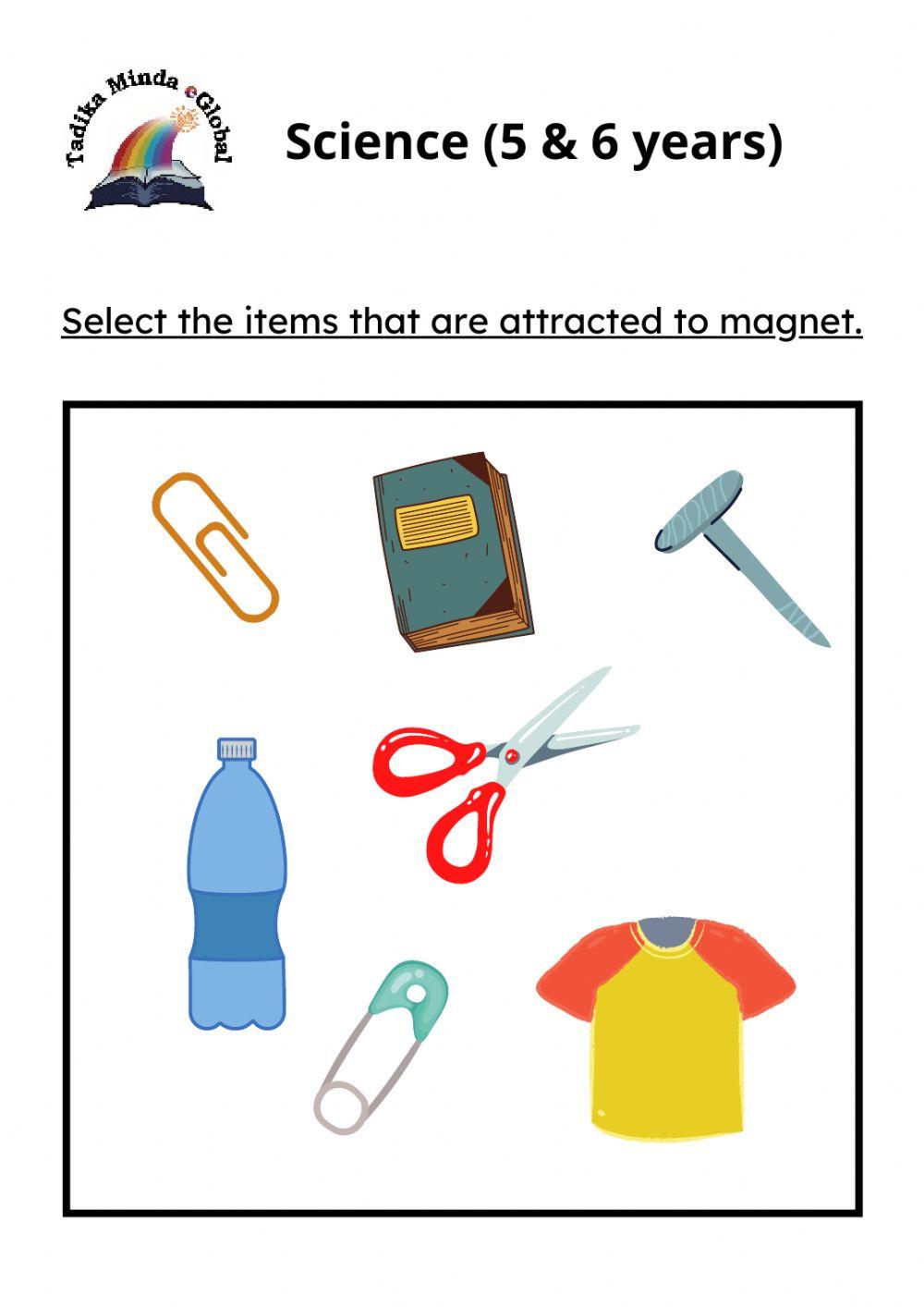 5 & 6 Years: Science (Magnet)