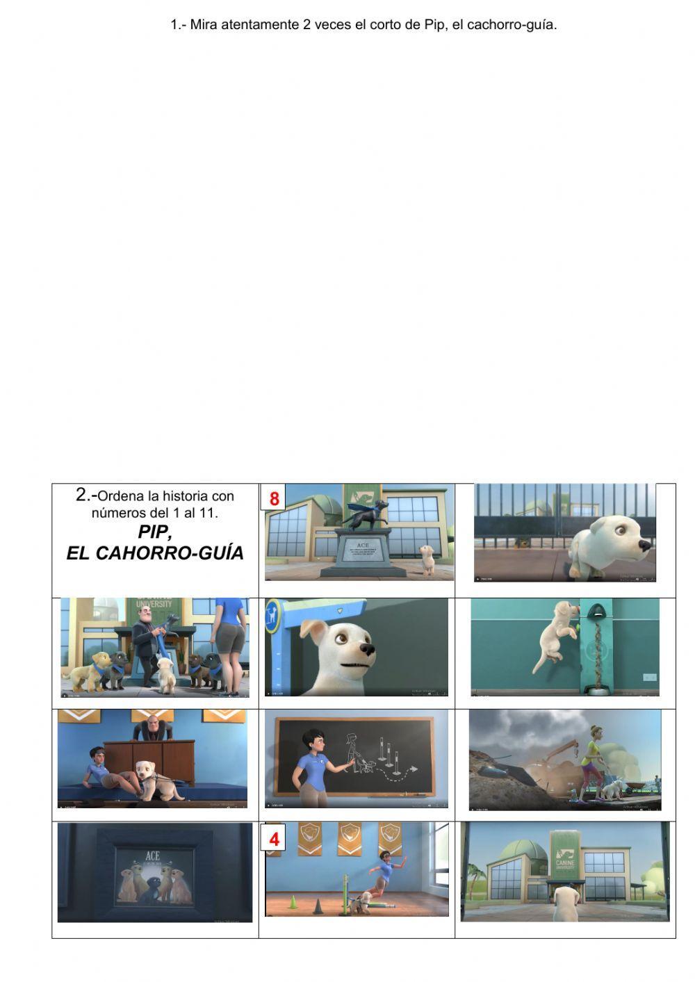 Corto - pip, el cachorro-guía