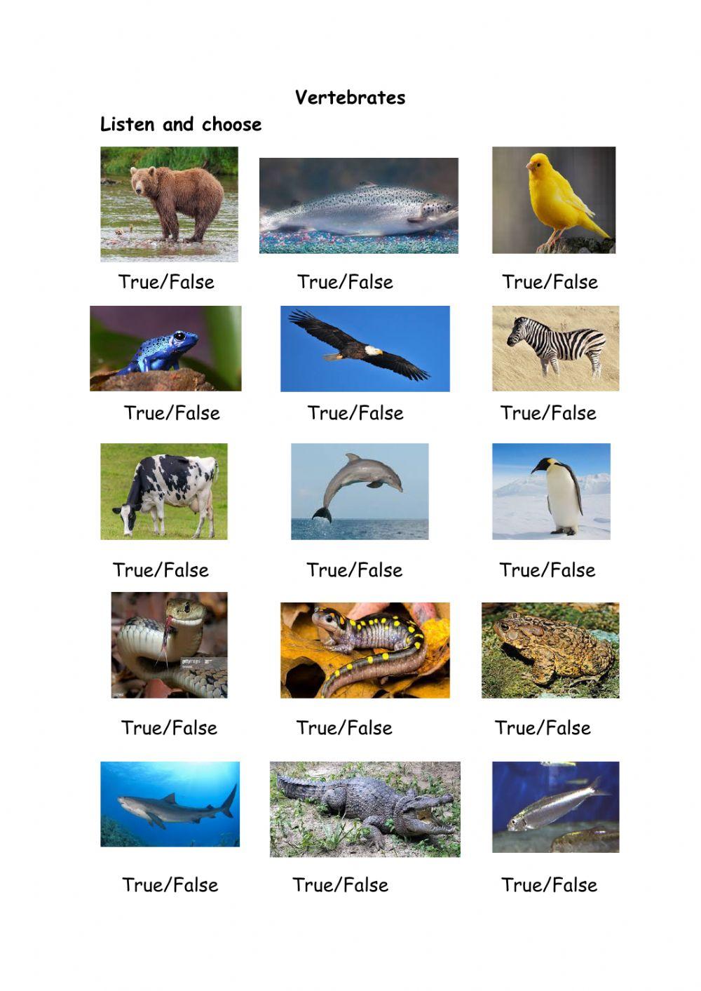 Vertebrates