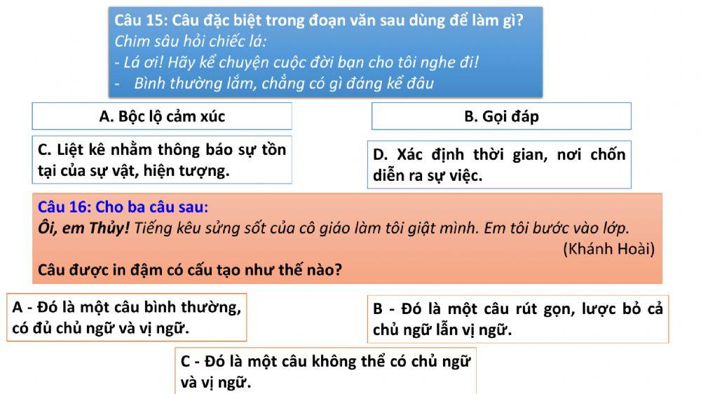 Quiz: Câu đặc biệt + Câu rút gọn