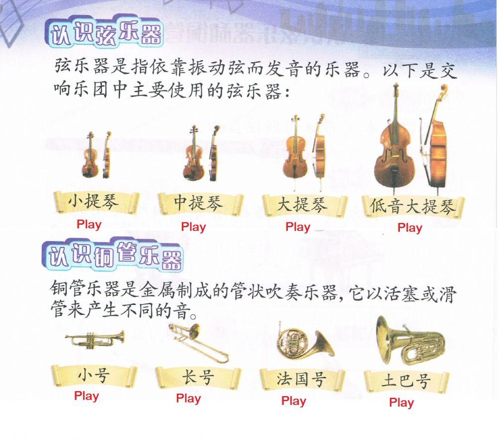 认识弦乐器和铜管乐器