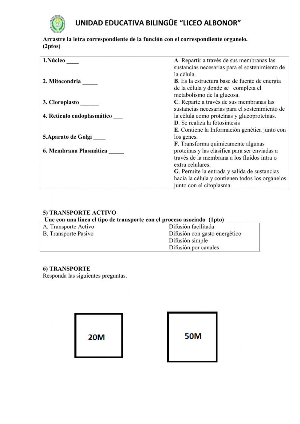 Lección de recuperación