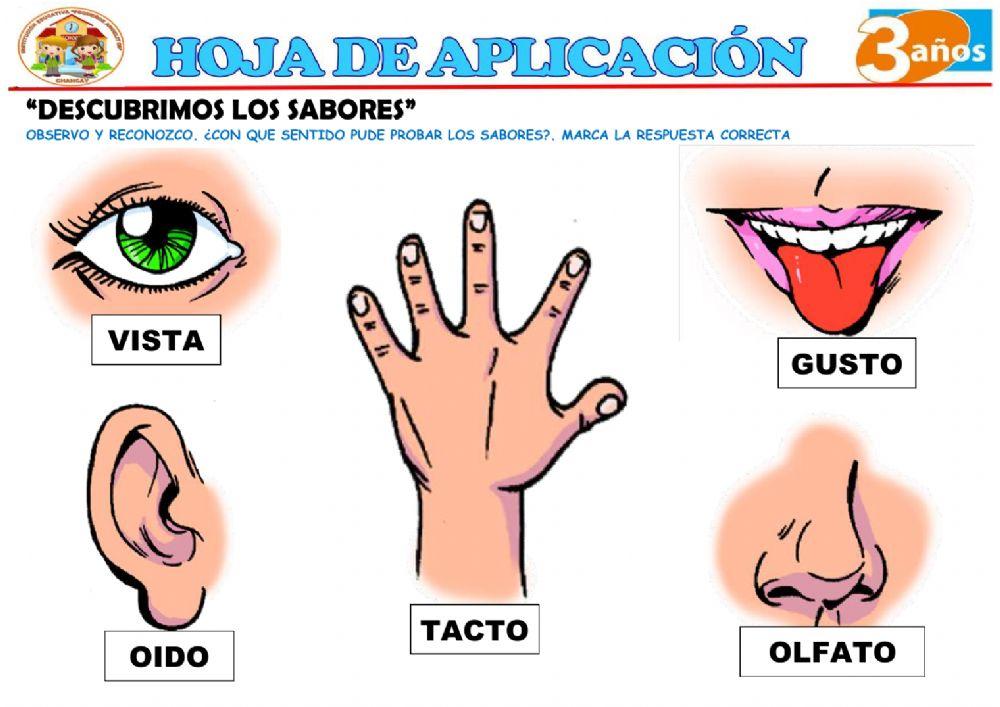 Descubriendo los sabores