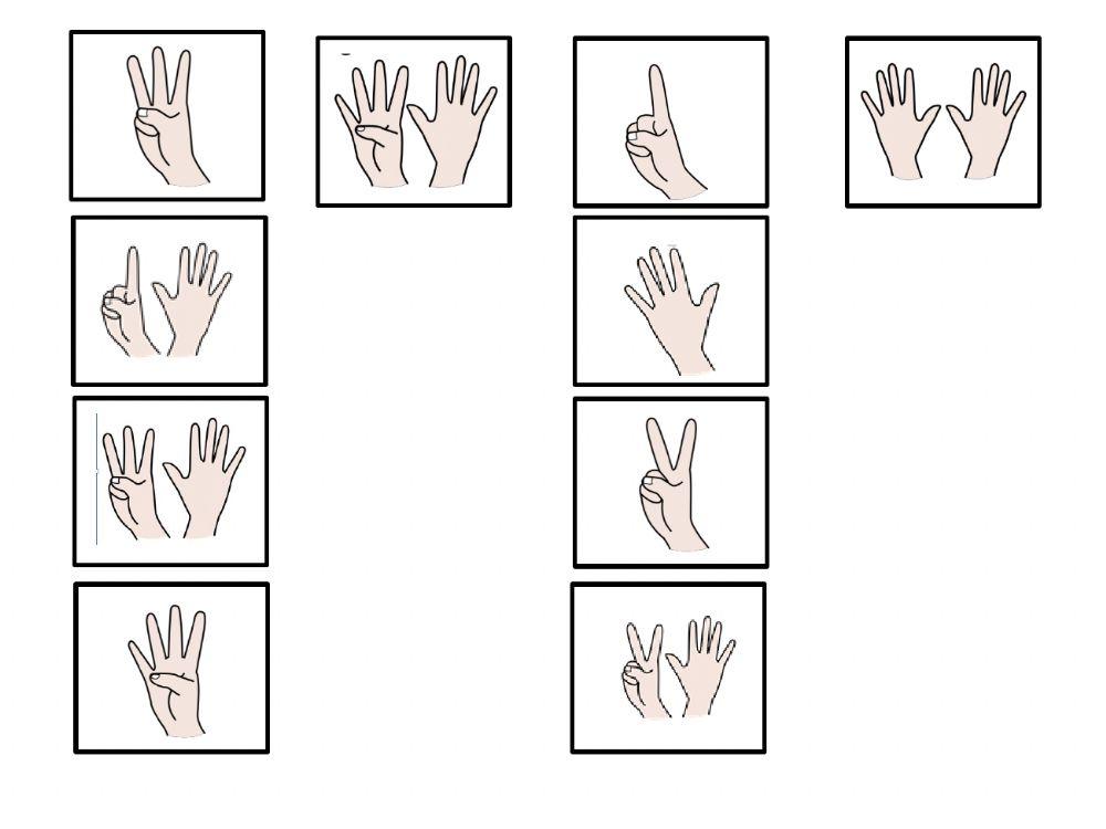 Material teacch asociar número cantidad dedos (i)