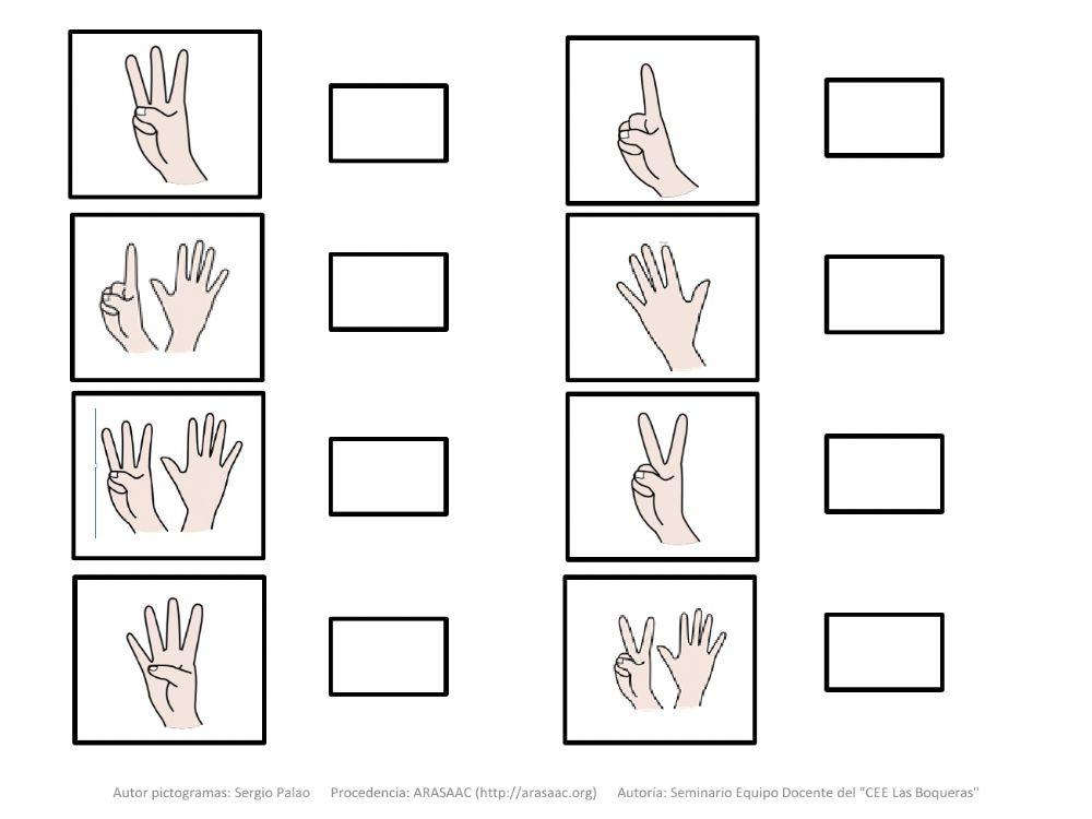 Material teacch asociar número cantidad dedos (ii)