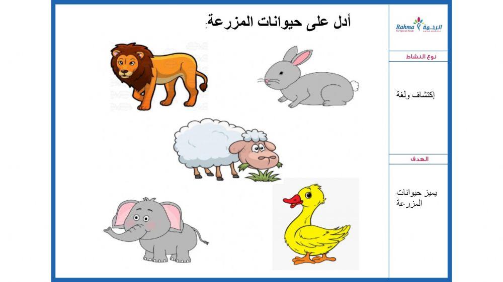 إكتشاف ولغة