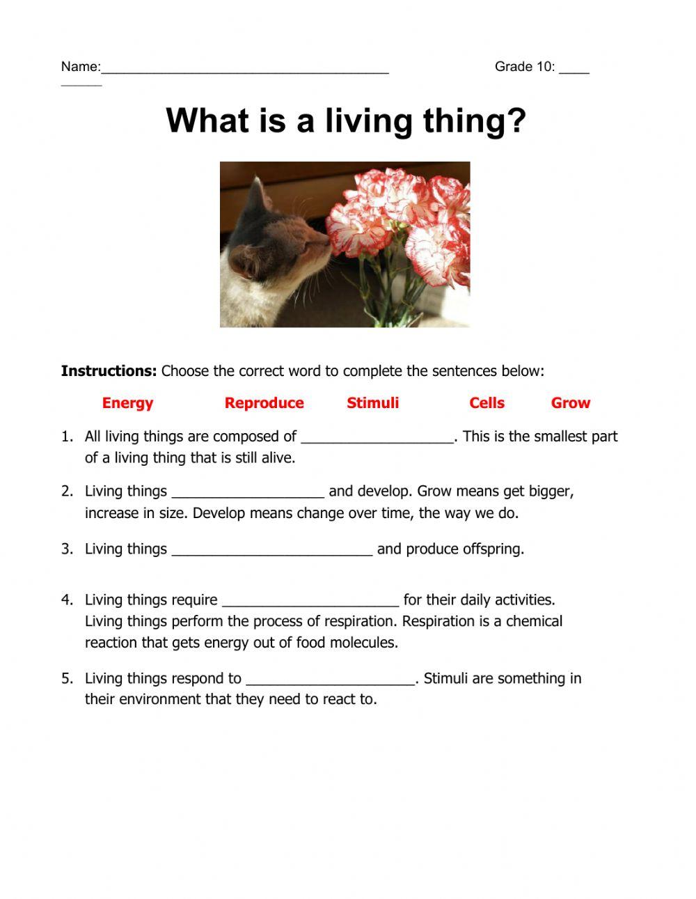 Characteristics if Living Things