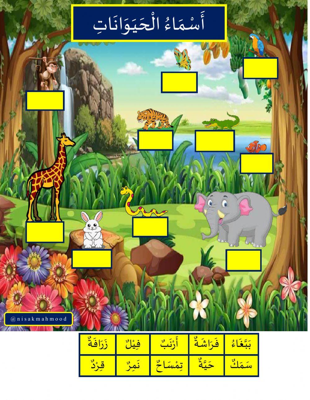 أسماء الحيوانات