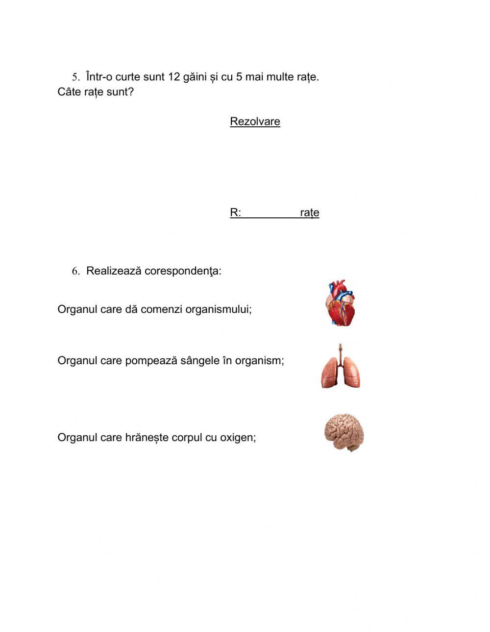 Test de evaluare MEM, cl 1