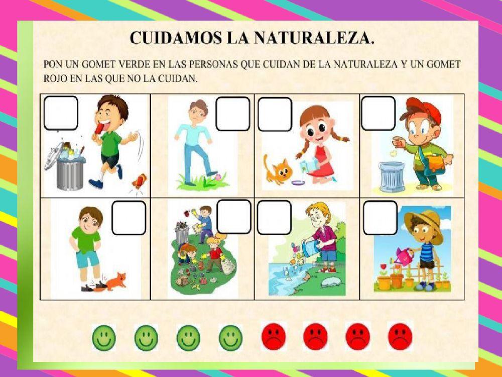 Fichas de ciencia y tecnología aula amarilla