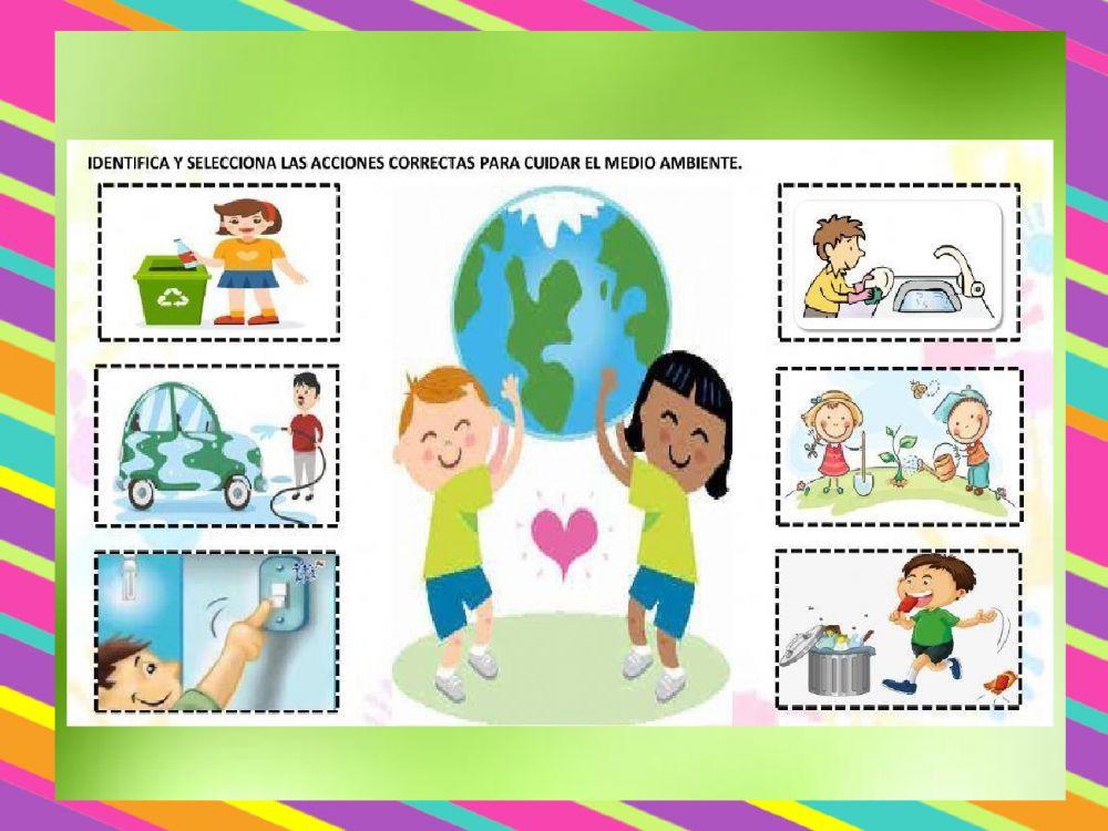 Fichas de ciencia y tecnología aula amarilla