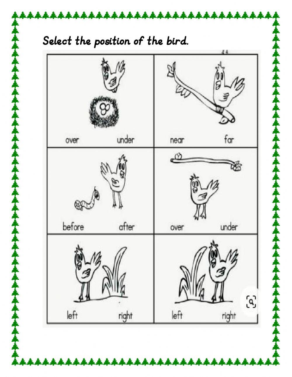 Mathematics Concept Review