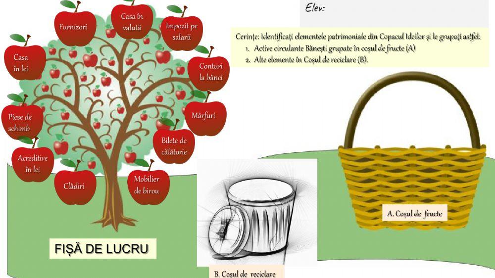 ACTIVE CIRCULANTE bănești