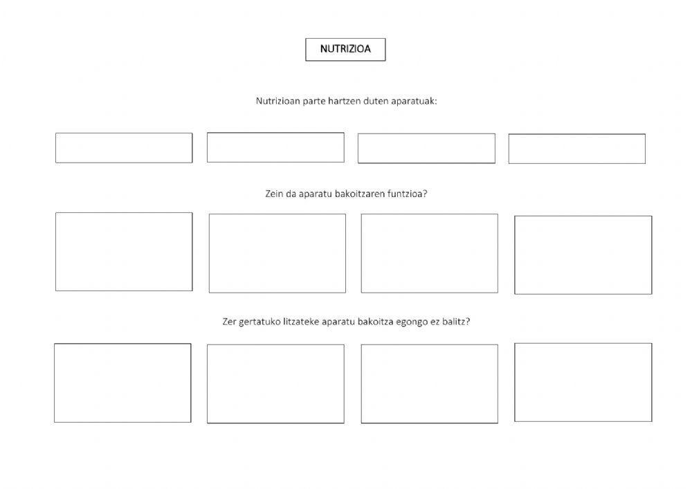 Nutrizio funtzioa
