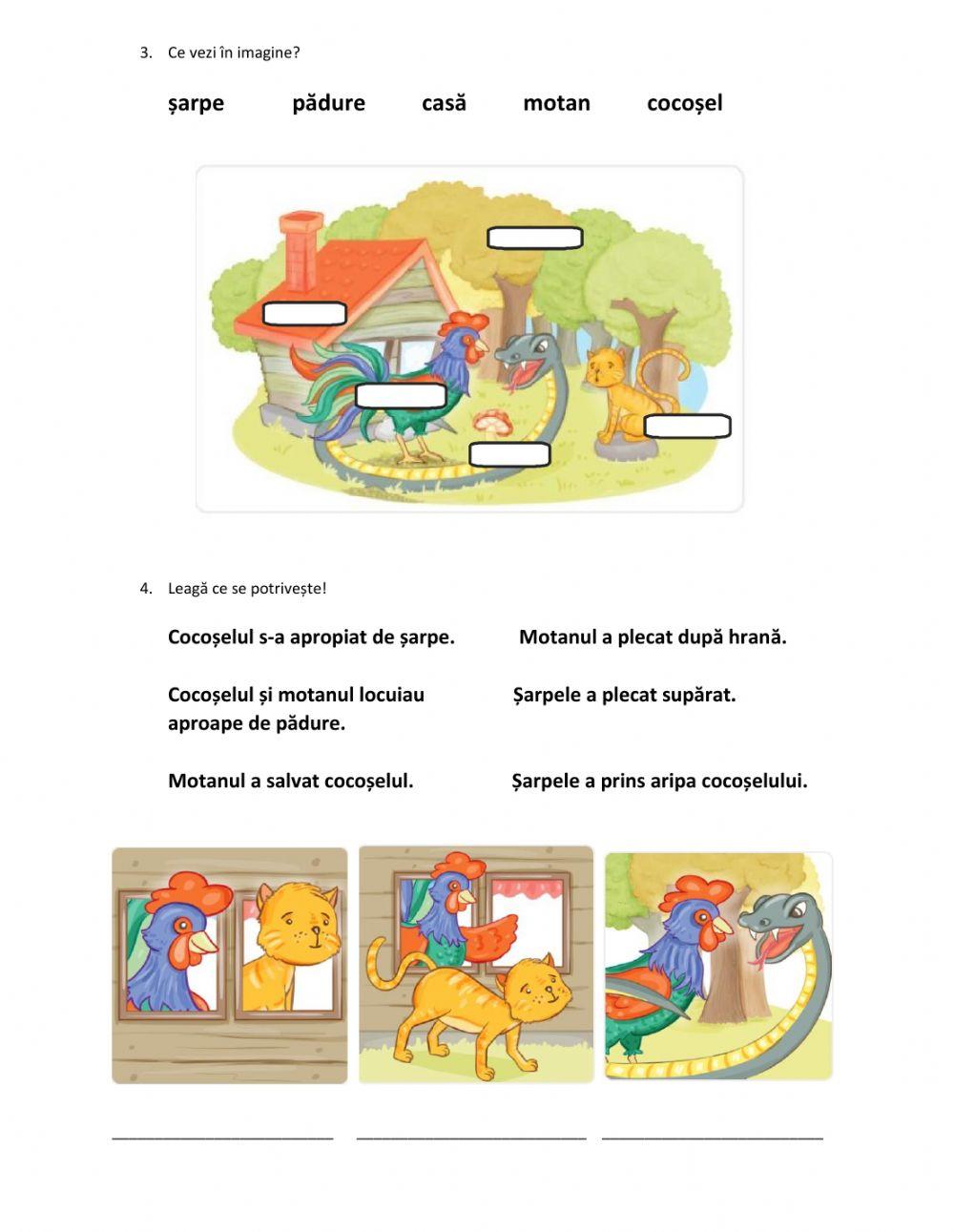 Litera ș. Cocoșelul și șarpele