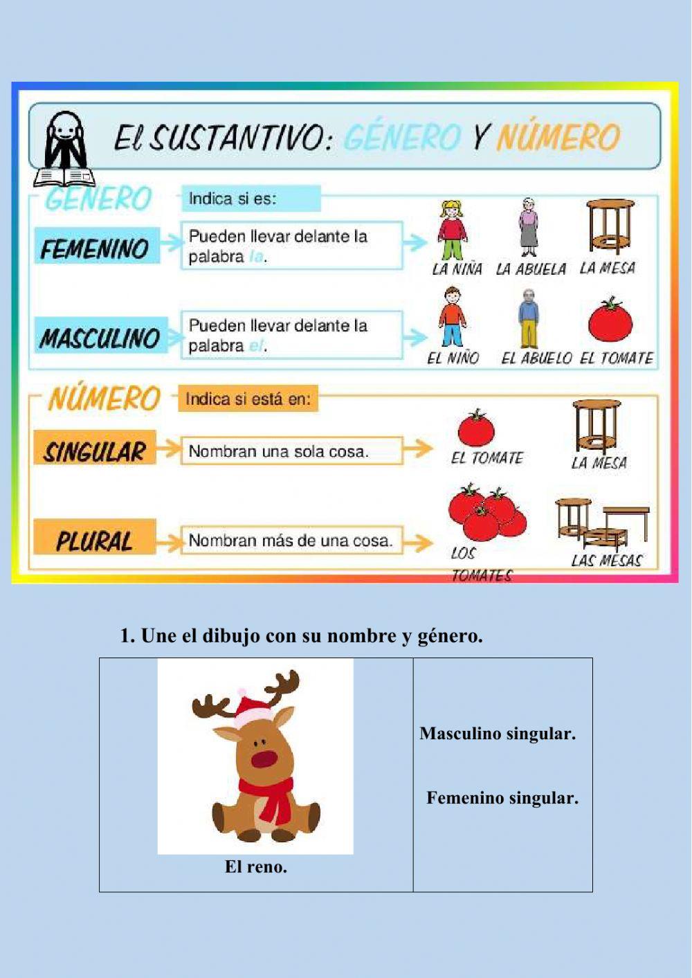 Género y el número