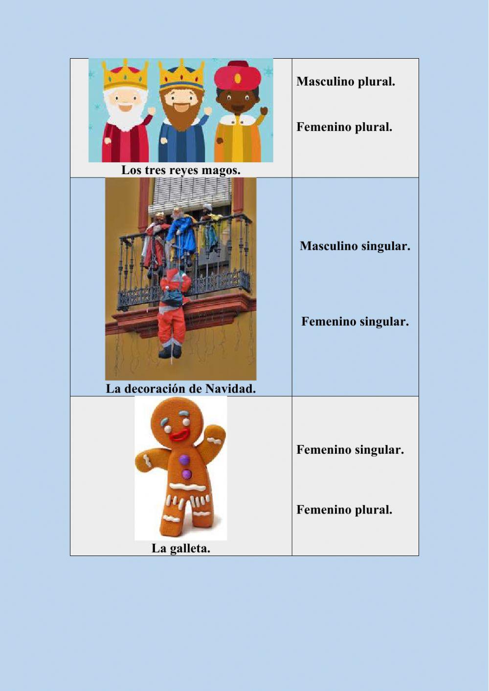 Género y el número