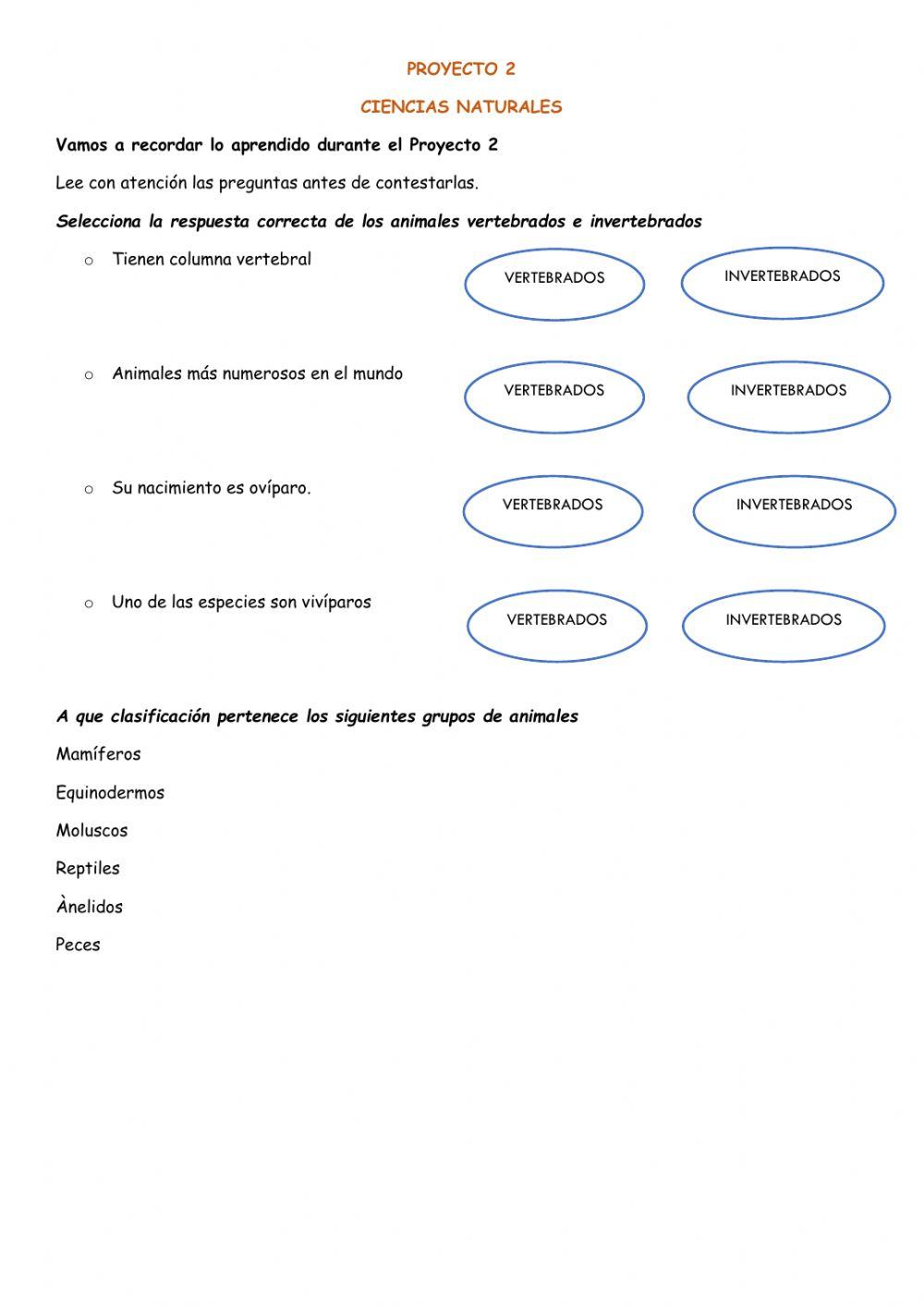 Refuerzo-proyecto-2-ccnn