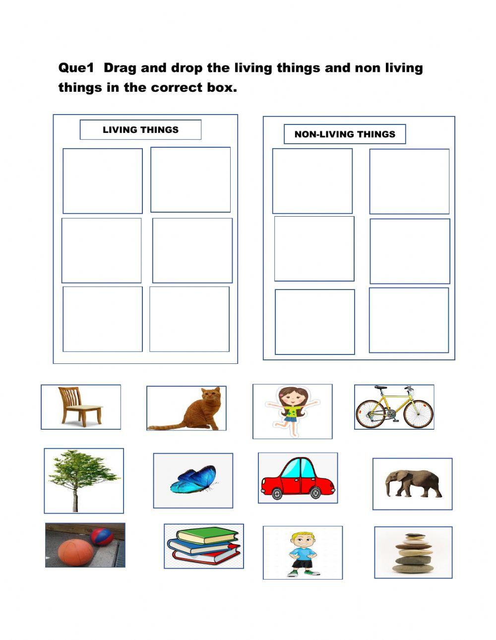 Living and non living things