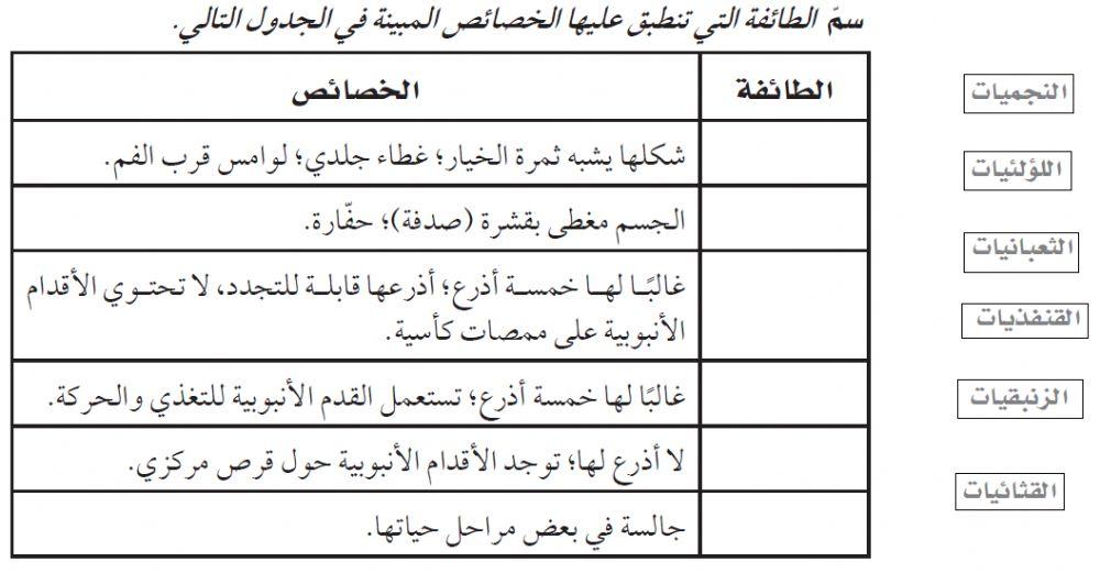 تصنيف شوكيات الجلد