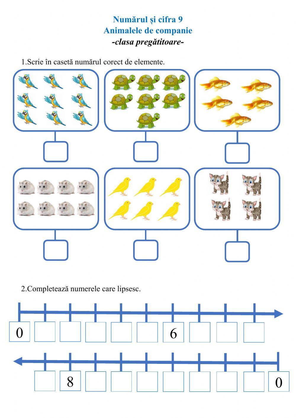 Numărul și cifra 9. Animalele de companie
