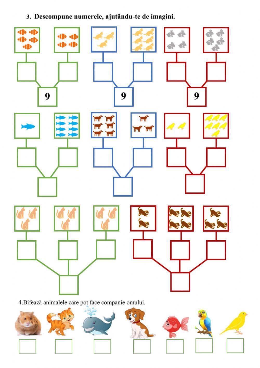 Numărul și cifra 9. Animalele de companie