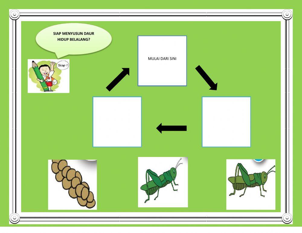 Metamorfosis sempurna dan tidak sempurna