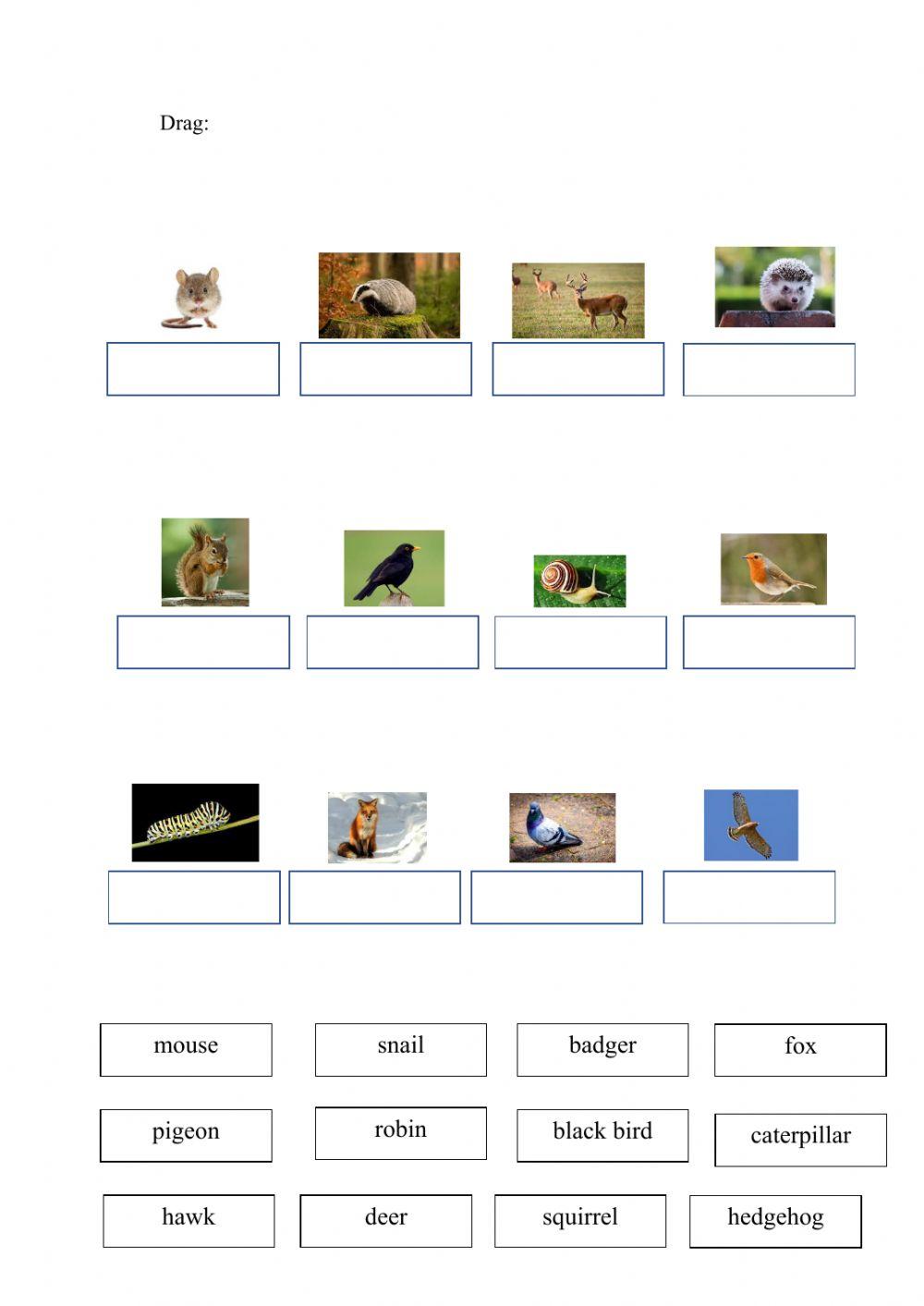 At the animal rescue centre 2