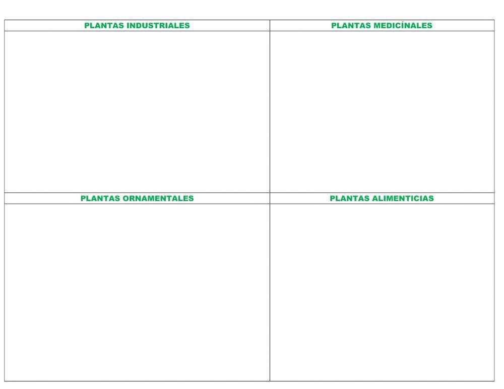 Utlilizacion de las plantas para el ser humano