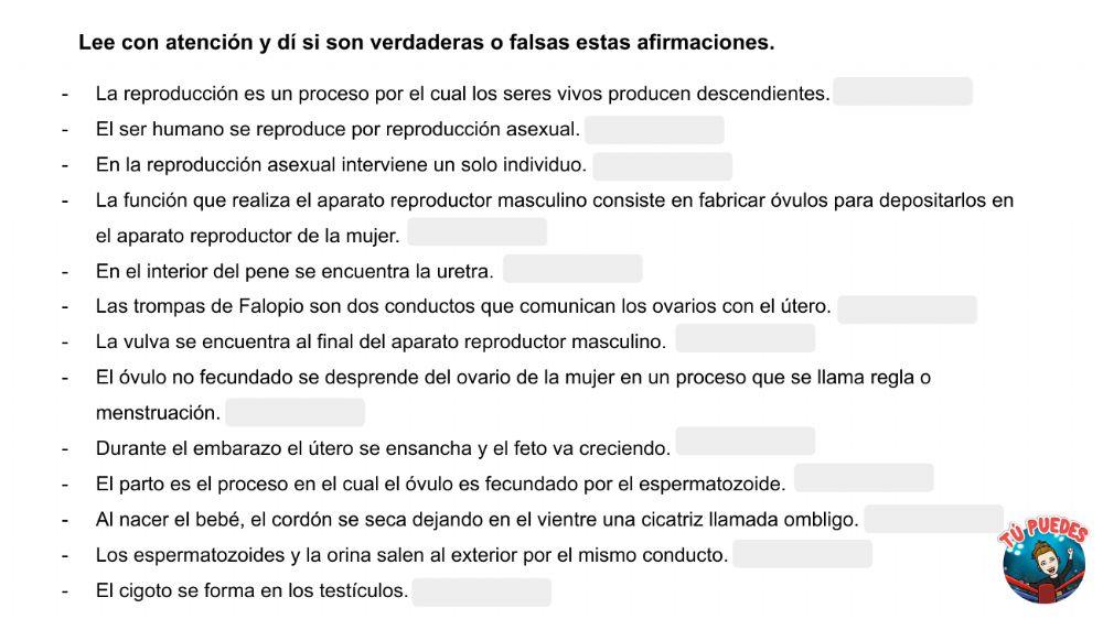 Las funciones vitales del ser humano