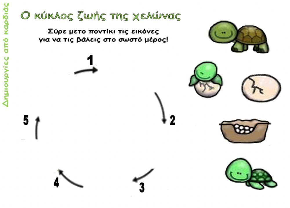 Ο λαγός και η χελώνα