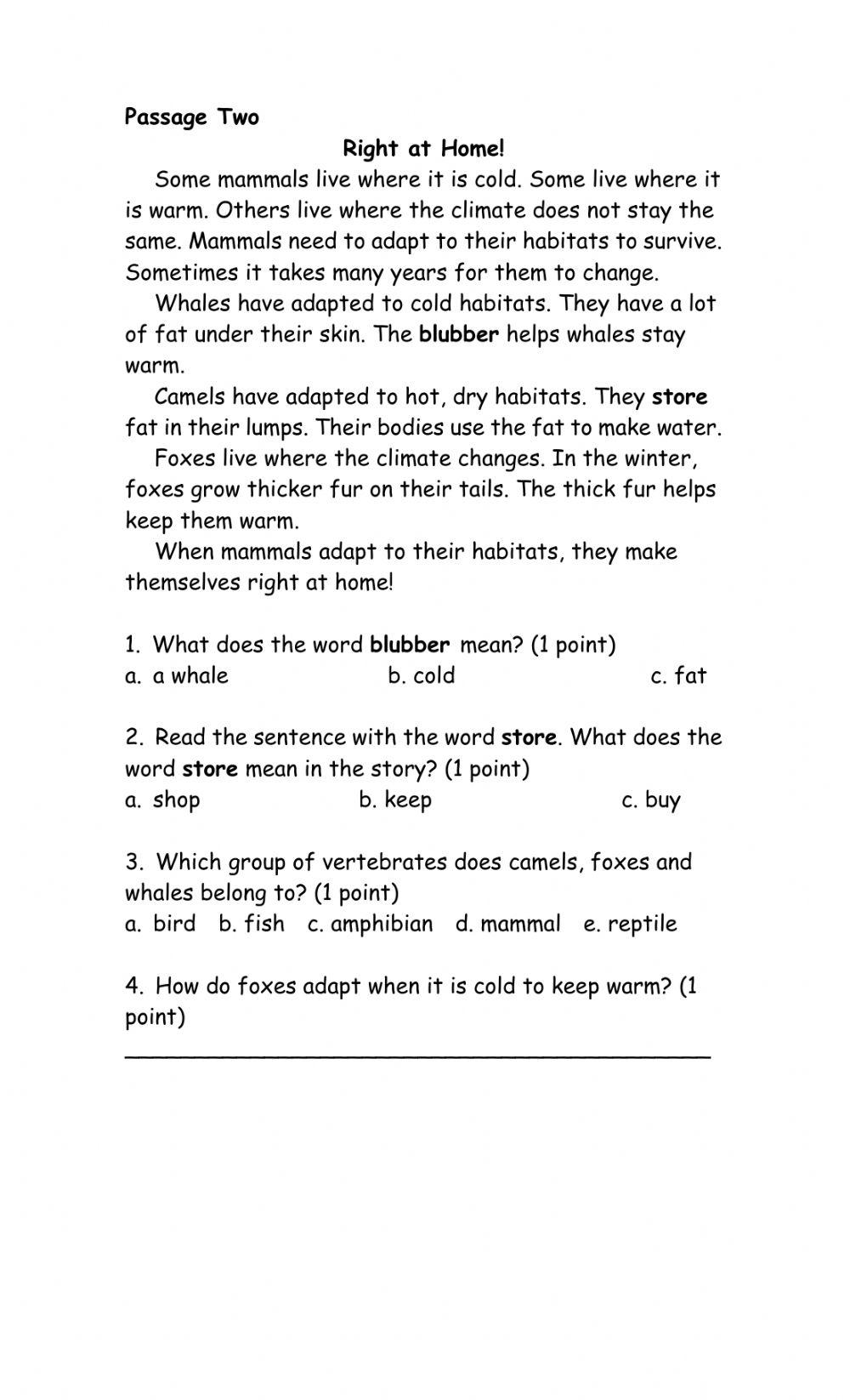 Reading Comprehension Christmas Term Exam 2020 Grade 4