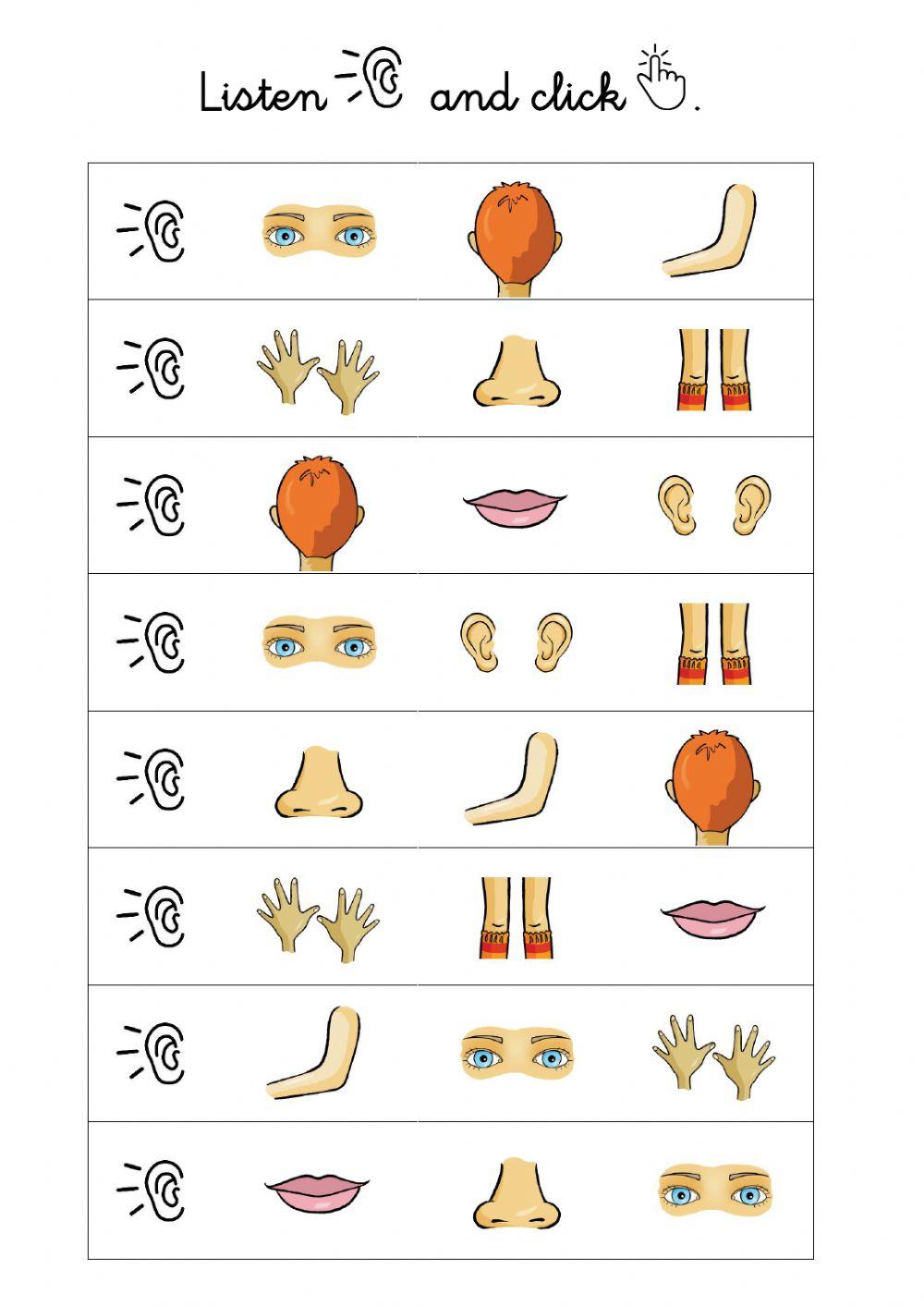 Parts of the body (2).