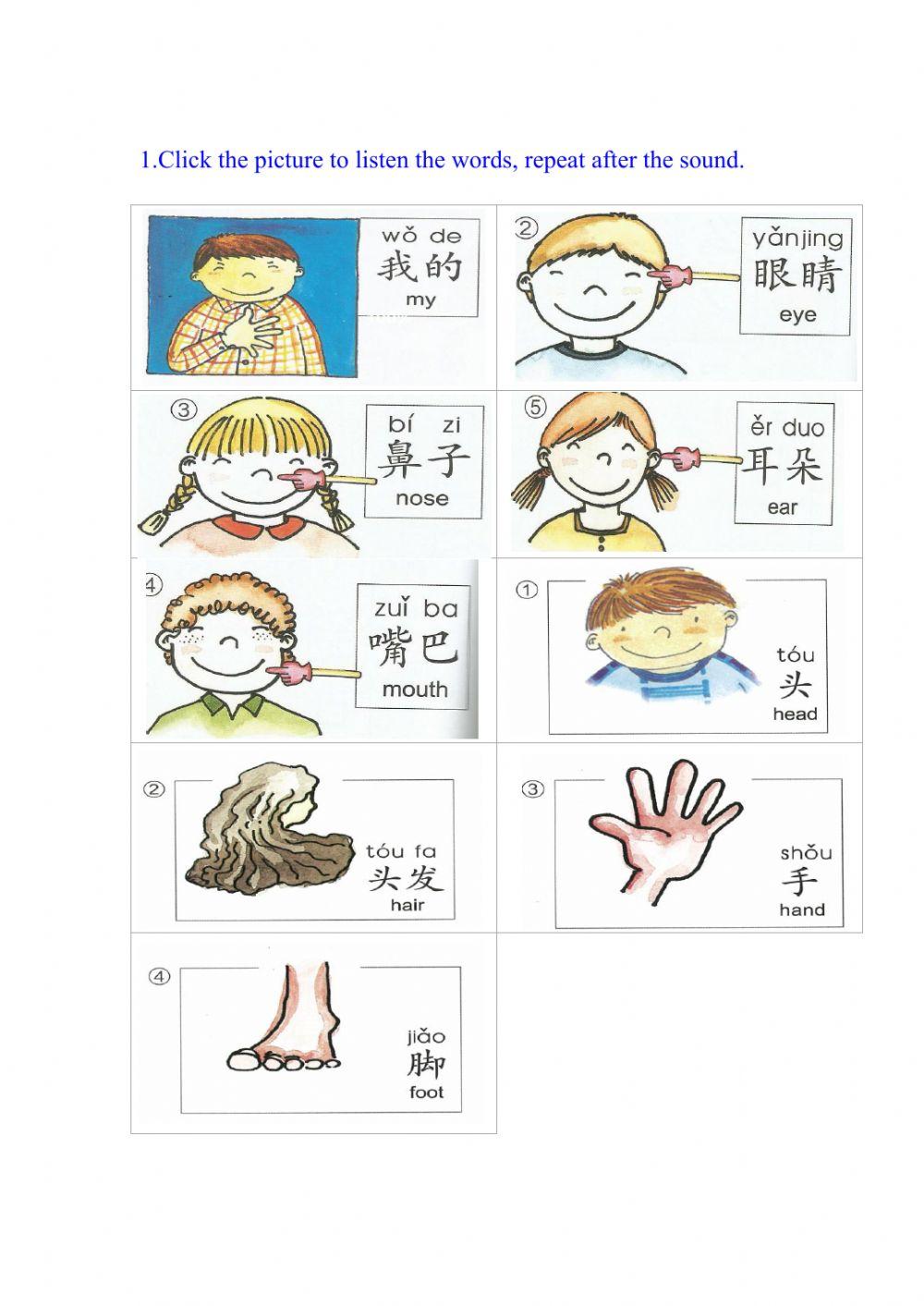 Final Revision-Topic 4 Parts of body