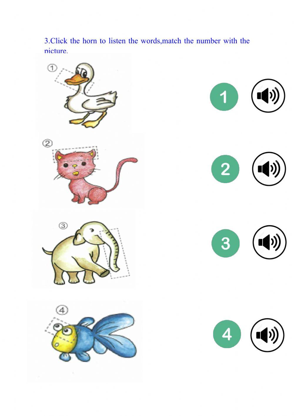 Final Revision-Topic 4 Parts of body