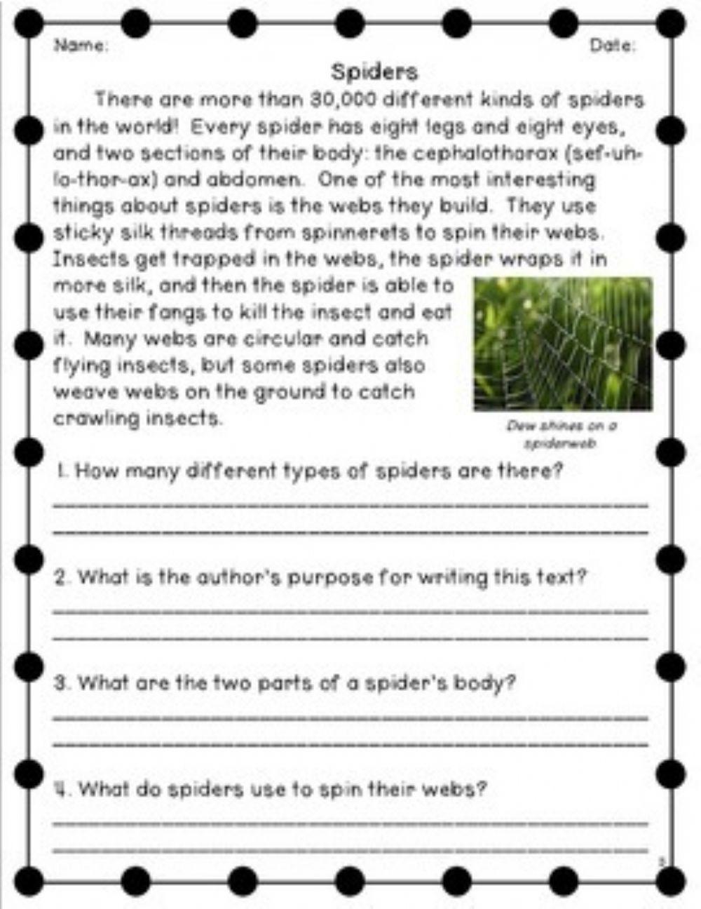 567501 Exercise 2 LIVEWORKSHEETS Reading 1206025413833251001